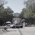 Polanco and Chapultepec