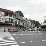 IMGP00811