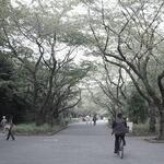IMGP00841