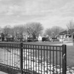 Gladstone Park 5