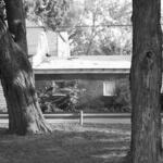 Eastwood Ave Residences_ Jefferson Park 3