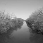 Chicago River North Channel_ Budlong Woods 3