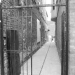 Clark St Gangway_ East Rogers Park 1