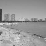 Foster Ave Beach 6