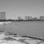 Foster Ave Beach 7