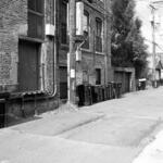 Cortez Alley_ East Ukrainian Village 1