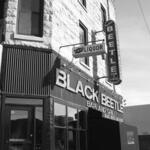 Black Beetle 1