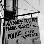 EastUkrainianVillage