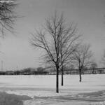 Archer Park 2