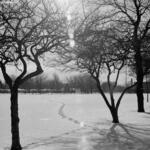 Archer Park 3