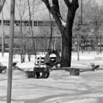 Archer Park 7