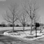 Bogan Park 1