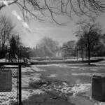 Bogan Park 2