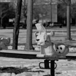 Bogan Park 3