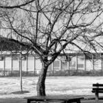 Durkin Park 4