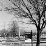 Durkin Park 5