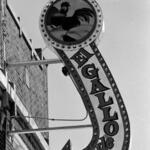 El Gallo De Oro 2