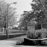 Hale Park 1