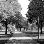 Hale Park 3