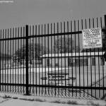 Hale Park 6