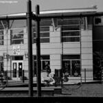 Hale Park 7