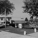 Hale Park 8