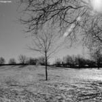 Rainey Park 2