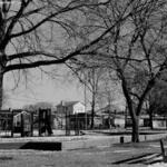Rainey Park 3