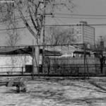 Rainey Park 4