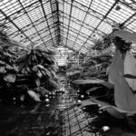 Conservatory Interior 1