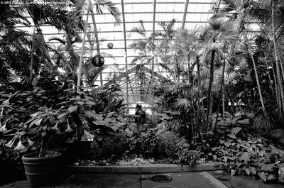Conservatory Interior 2
