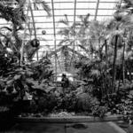 Conservatory Interior 2
