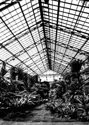 Conservatory Interior 3