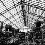 Conservatory Interior 3