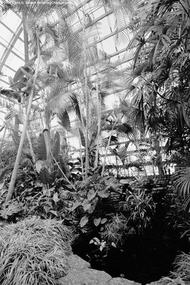 Conservatory Interior 4