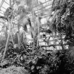 Conservatory Interior 4