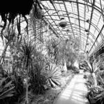 Conservatory Interior 5