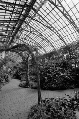 Conservatory Interior 6