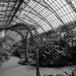 Conservatory Interior 6