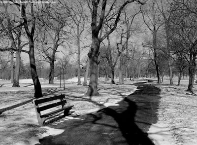 Douglas Park 1