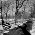 Douglas Park 1