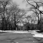 Douglas Park 2