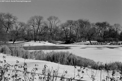 Douglas Park Lagoon 1
