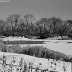 Douglas Park Lagoon 1