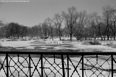 Douglas Park Lagoon 2