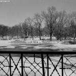 Douglas Park Lagoon 2