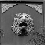 Facade Detail_ Medical Center 2