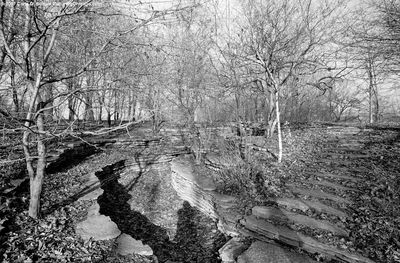 Columbus Park Creek 1