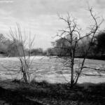 Columbus Park Lagoon 2