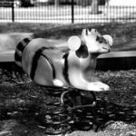 Hiawatha Park 3